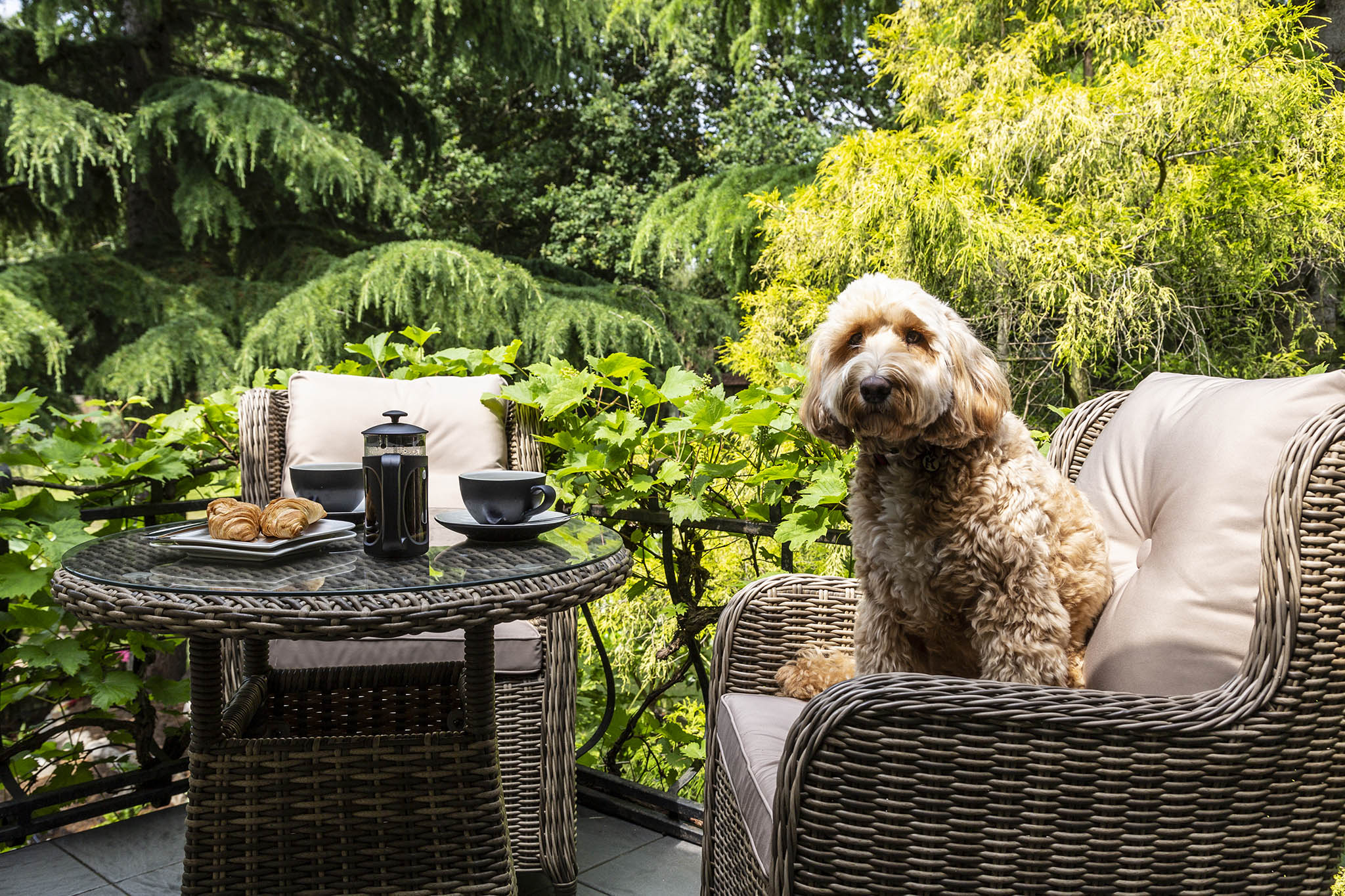 Transform Your Garden, Patio into an Extension of Your Home